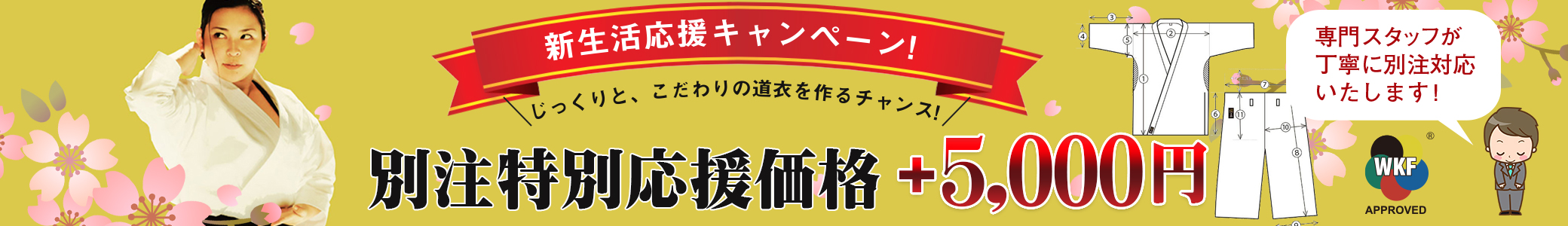 別注特別価格キャンペーン