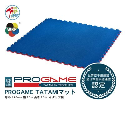 洗浄消毒済みで安心！JKF空手防具4点セット 東海堂オンライン / JKF